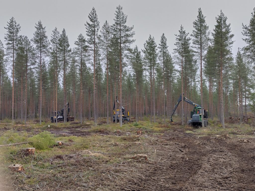 Rataa on rakennettu EU-hankkeella ja hanke kulkee nimellä Seppälän metsäkoneiden ajoharjoitteluympäristö -hanke.